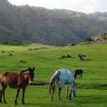 Los destinos más buscados para el próximo fin de semana largo