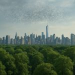 El consumo ambiental de la IA: por qué su huella es menor que la de otras tecnologías